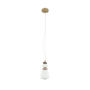 TL-11702.jpg.webp