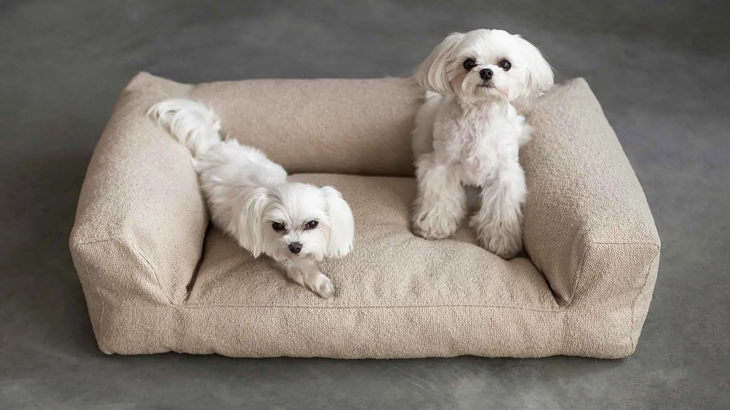 vilmers%2FPRODUCT_PHOTOS%2F1_SOFT_FURNITURE%2F1_8_PET_BEDS%2FINTERIOR_PHOTOS%2FPet_beds%2FPet_beds_%C2%A9Vilmers66.webp