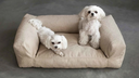 vilmers%2FPRODUCT_PHOTOS%2F1_SOFT_FURNITURE%2F1_8_PET_BEDS%2FINTERIOR_PHOTOS%2FPet_beds%2FPet_beds_%C2%A9Vilmers66.webp